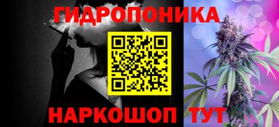 шишки Рыбинск