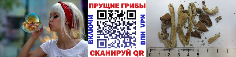 гидра ссылка  Похвистнево  Псилоцибиновые грибы GOLDEN TEACHER  хочу наркоту 