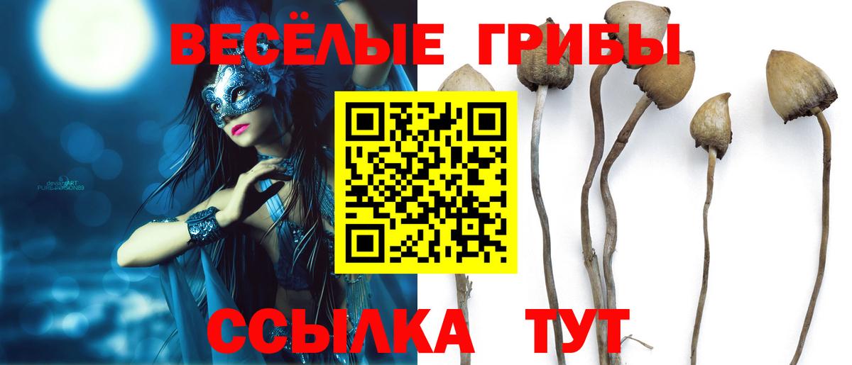Галлюциногенные грибы ЛСД  Вход с VPN  Похвистнево  Псилоцибиновые грибы ЛСД 